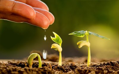 Πρόσκληση Συμμετοχής στην Τάξη Μαθητείας για Αποφοίτους ΕΝ.Ε.Ε.ΓΥ-Λ στον Τομέα Τεχνικός Φυτικής Παραγωγής"