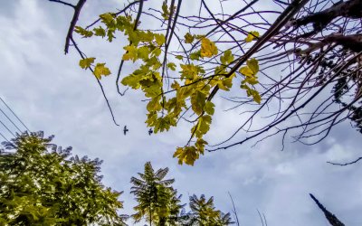 Η Κεφαλονιά περνά σε πιο δροσερό και ανεμώδες σκηνικό – Άνοδος της θερμοκρασίας από την Πέμπτη