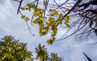 Η Κεφαλονιά περνά σε πιο δροσερό και ανεμώδες σκηνικό – Άνοδος της θερμοκρασίας από την Πέμπτη