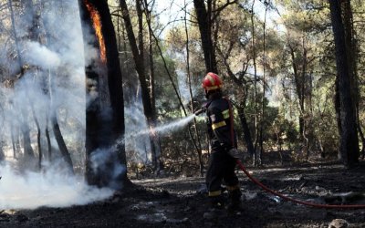 Πυροσβεστική: 378 δασικές πυρκαγιές σε μία εβδομάδα – Υψηλός ο κίνδυνος και την Πέμπτη