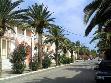 Ο φοινικόδρομος ζωντανεύει με την βοήθεια των &quot;Γιατρών των Φοινίκων&quot;