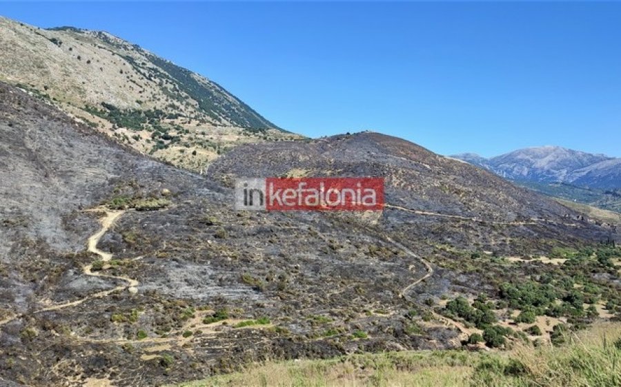 Μέσα στο Καπανδρίτι οι φλόγες της φωτιάς - Ισχυρή δύναμη της Πυροσβεστικής -  7 αεροσκάφη στη μάχη (εικόνες/video)