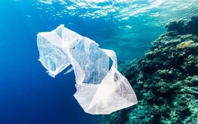 «Χωματερή» η Μεσόγειος: 230.000 τόνοι πλαστικών καταλήγουν στη θάλασσα κάθε χρόνο