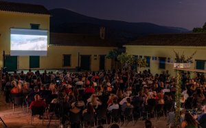 Το αναλυτικό πρόγραμμα του Διεθνούς Φεστιβάλ Κεφαλονιάς "Κύματα"
