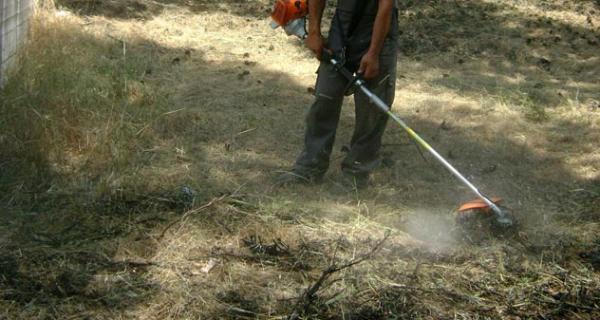 Δήμος: Ανακοίνωση για καθαρισμό οικοπέδων