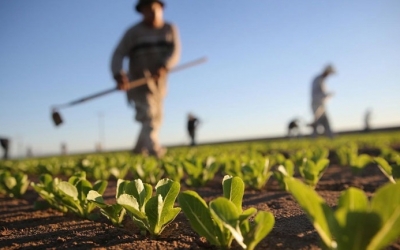Ολοκληρώθηκε η πρακτική άσκηση νέων αγροτών στην Γεωργική Σχολή