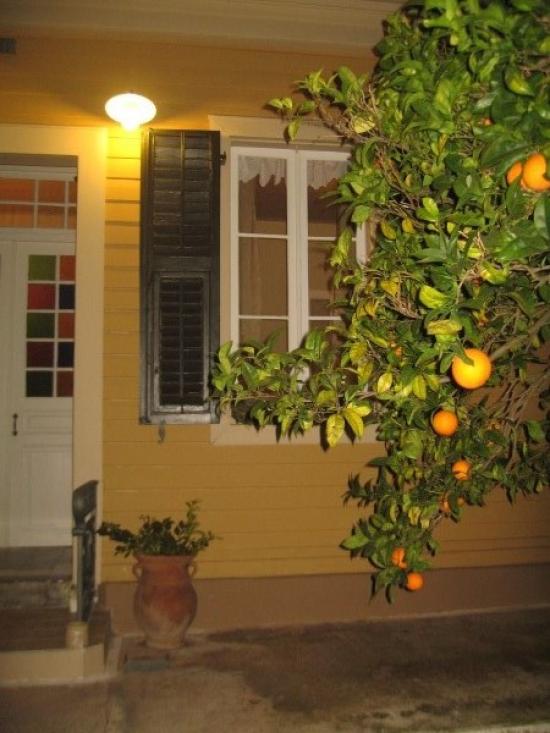 Γνωρίστε το Βιολογικό Αγρόκτημα-Εστιατόριο "Εν Κεφαλληνία"