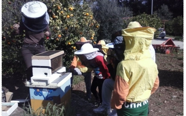Ολοκληρώθηκαν οι εκπαιδευτικές επισκέψεις στο μελισσοκομικό πάρκο της Γεωργικής Σχολής
