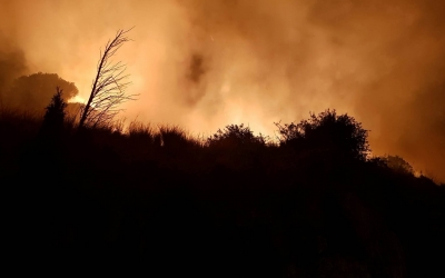 Τέθηκε υπό έλεγχο η βραδινή φωτιά στο Μαρκόπουλο (εικόνες)