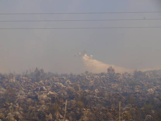 H φωτογραφία είναι αρχείου