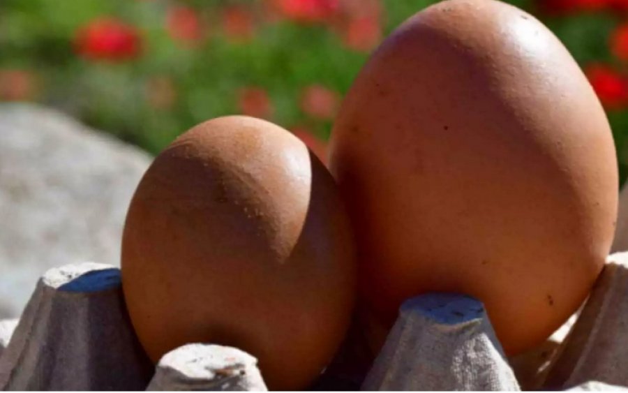 Αυγό για ρεκόρ Γκίνες στο Ναύπλιο – Εικόνες που σε αφήνουν με το στόμα ανοιχτό