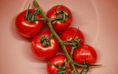 Βαριά «καμπάνα» για φορέα πιστοποίησης βιολογικών προϊόντων