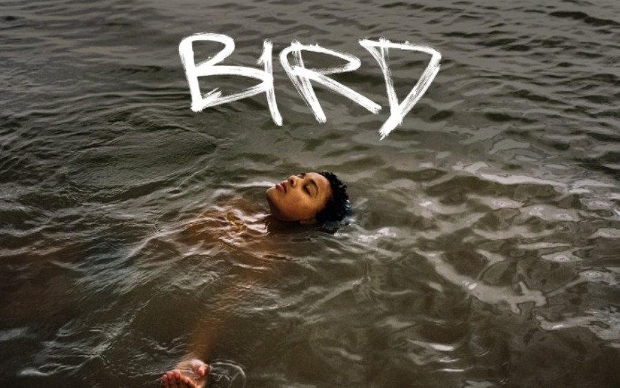 Σινεμά στην Ανάκαρα: Η ταινία «BIRD» στον Πολιτιστικό Σύλλογο Ληξουρίου