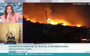 Ο υποστράτηγος ΠΥ για την ολονύχτια μάχη με τις φλόγες στην Κεφαλονιά: &quot;Καλύτερη η εικόνα - Δόθηκε μια ηρωική μάχη για να προστατεύσουμε οικισμούς και χωριά&quot; (videο)