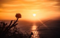 Καλοκαιρινό σκηνικό στην Κεφαλονιά – Ήλιος, αυξημένη υγρασία και θερμοκρασίες έως 31°C