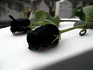 Συλλυπητήρια ανακοίνωση απο τον Δήμαρχο Αλέξανδρο Παρίση
