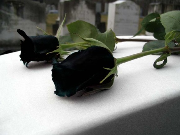 Συλλυπητήρια ανακοίνωση απο τον Δήμαρχο Αλέξανδρο Παρίση