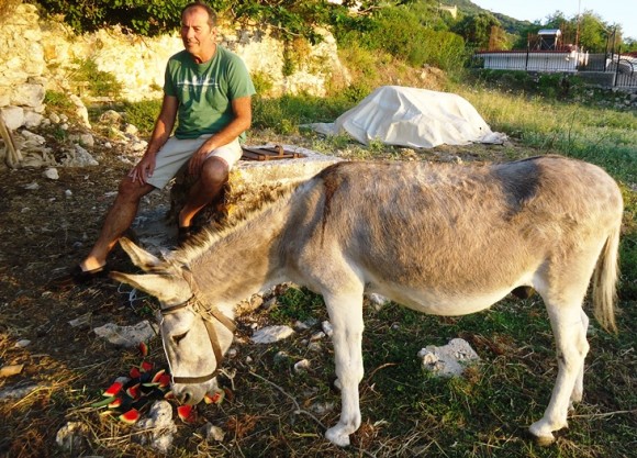 Στα μονοπάτια της Θηνιάς, έτσι απλά, όπως παλιά, συντροφιά με τον Μάρκο