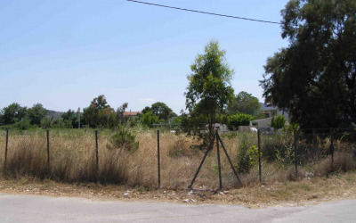 Υποχρεωτικός ο καθαρισμός οικοπέδων και ακάλυπτων -Υπάρχουν κυρώσεις