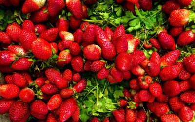 Φράουλες - Το καλοκαιρινό φρούτο με πολλαπλά οφέλη για την υγεία