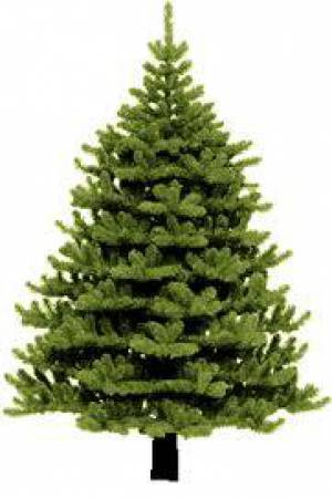 Μουσικοχορευτική βραδιά απο τον Π.Σ. Βλαχάτων ο "Αίνος"