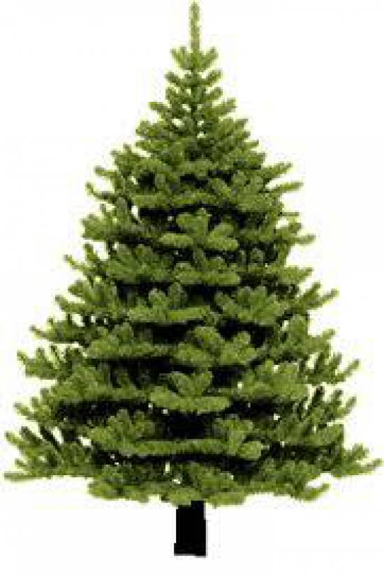 Μουσικοχορευτική βραδιά απο τον Π.Σ. Βλαχάτων ο "Αίνος"