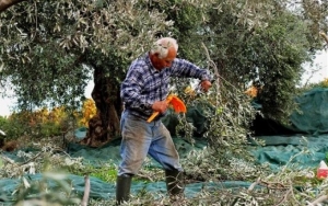 Ο Ε. Α. Σ. πηγαίνει στα Μακρυώτικα