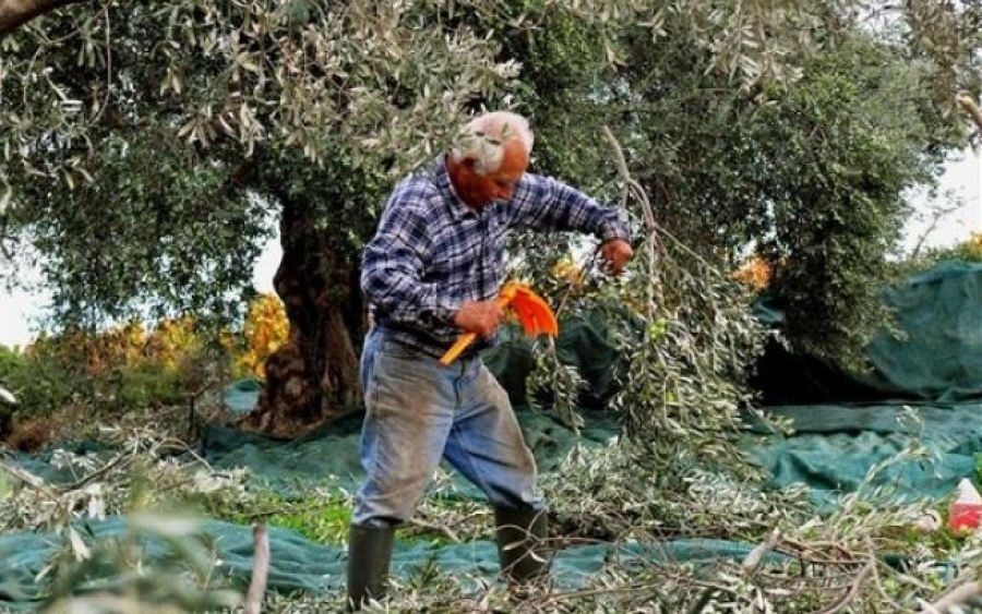 Ο Ε. Α. Σ. πηγαίνει στα Μακρυώτικα