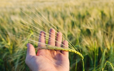 Ενημερωτική ημερίδα του ΟΠΕΚΕΠΕ στo Αργοστόλι