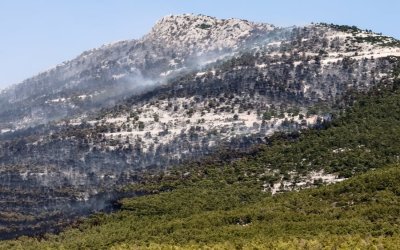 Meteo: Κάηκαν περισσότερα από 1.200.000 στρέμματα έως την Τετάρτη - Ανείπωτη καταστροφή ρεκόρ