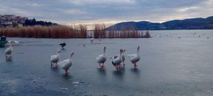 «Παγοδρόμιο» οι λίμνες της Καστοριάς και της Χειμαδίτιδας στη Φλώρινα [εικόνες]