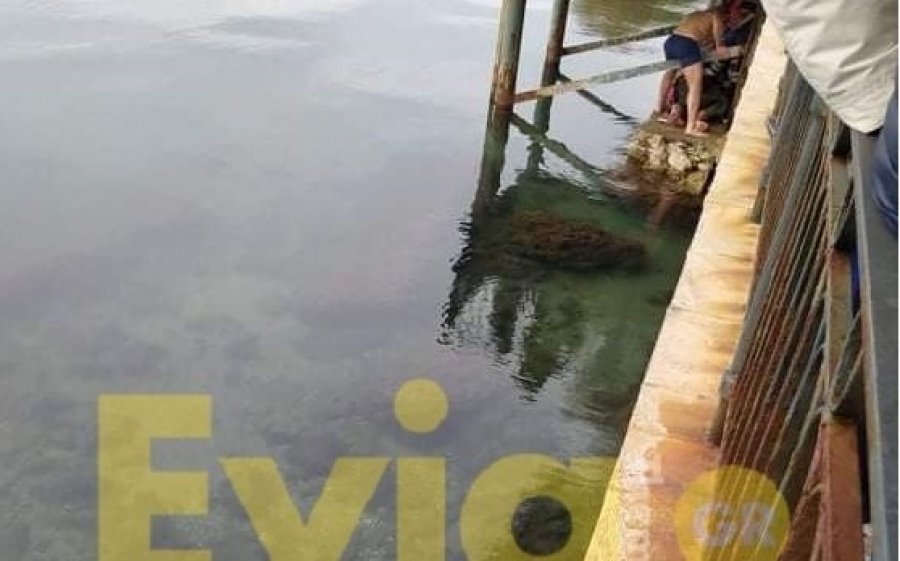 Θεοφάνεια - Εύβοια: 30χρονος έπεσε να πιάσει τον σταυρό και τραυματίστηκε σοβαρά στον αυχένα (εικόνες + video)