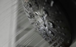 Κι όμως στο ντους μας ζει μια αποικία βακτηρίων: Πώς θα μειώσετε τον κίνδυνο