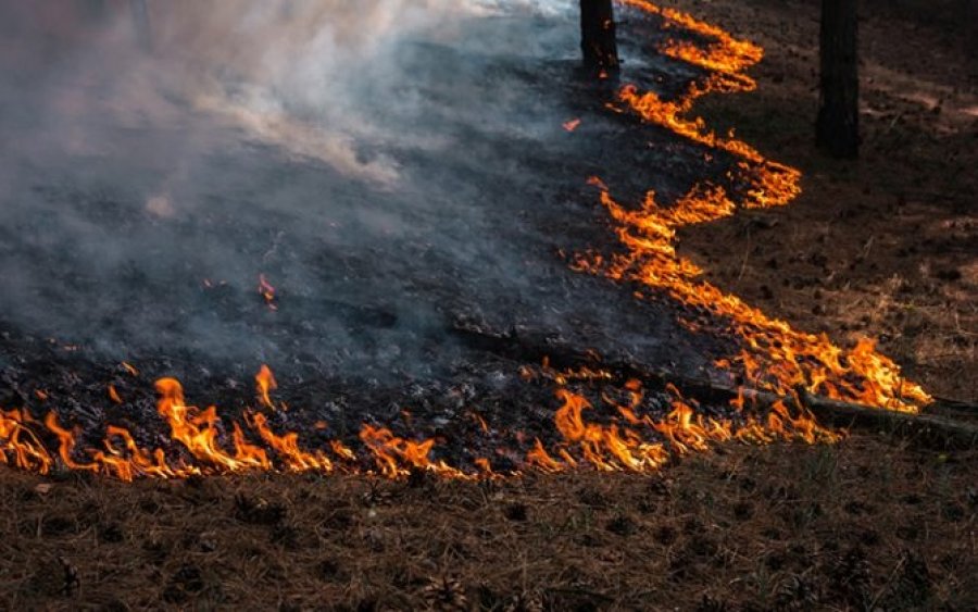 Υψηλός ο κίνδυνος πυρκαγιάς την Κυριακή στην Κεφαλονιά (χάρτης)