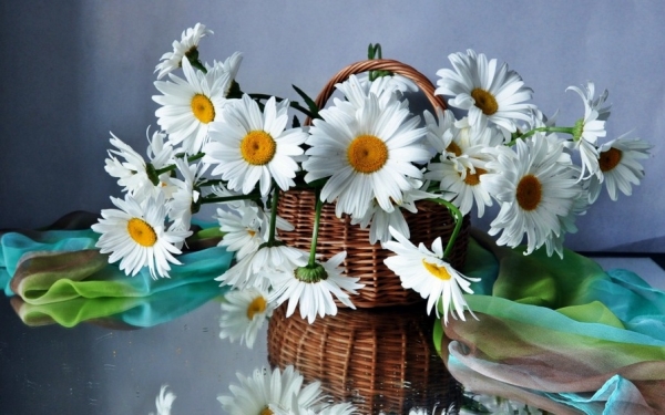 Το Δημοτικό Γηροκομείο Αργοστολίου ευχαριστεί τους δωρητές