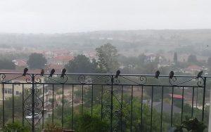 Οδηγίες απο την ΑΝΙΜΑ για όσους βρήκαν χελιδόνια στις αυλές ή στα μπαλκόνια τους (εικόνες)