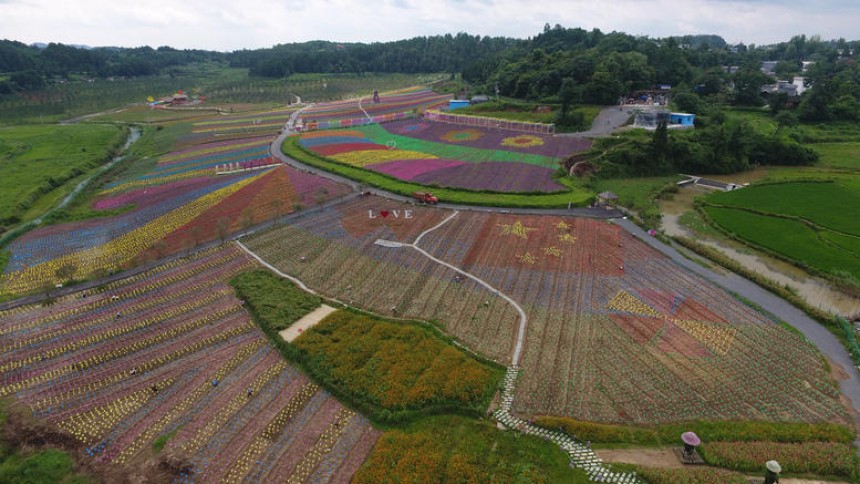 Ενας κήπος με 30 εκατομμύρια χάρτινους ανεμόμυλους (εικόνες)