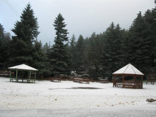 Φωτογραφία : Φορέας Διαχείρισης