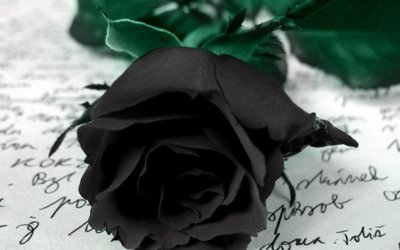 Χορωδία &amp; Μαντολινάτα Αργοστολίου: Συλλυπητήριο μήνυμα για την απώλεια του Διονυσίου Μενεγάτου