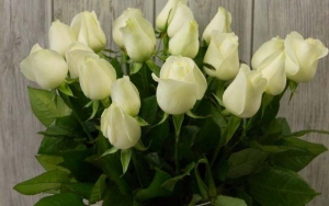 Συλλυπητήρια για την απώλεια του Στέφανου Βλάχου