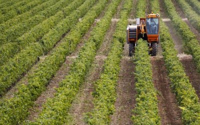 Ε.Α.Σ.: Μέχρι 11 Φεβρουαρίου υποβολή ενστάσεων Εξισωτικής Αποζημίωσης