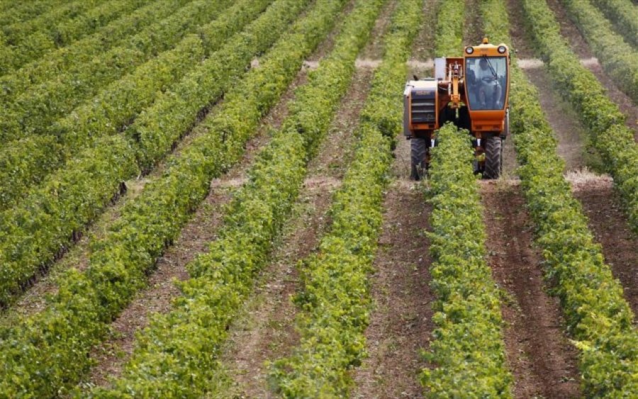 Ε.Α.Σ.: Μέχρι 11 Φεβρουαρίου υποβολή ενστάσεων Εξισωτικής Αποζημίωσης