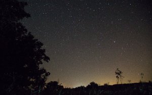 Ένας ουρανός μ' αστέρια... στον Εθνικό Δρυμό του Αίνου