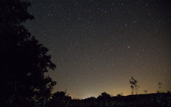 Ένας ουρανός μ' αστέρια... στον Εθνικό Δρυμό του Αίνου
