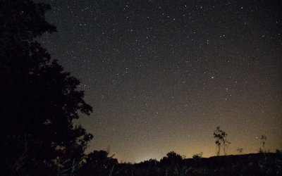 Ένας ουρανός μ' αστέρια... στον Εθνικό Δρυμό του Αίνου