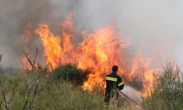 Τώρα: Φωτιά στην Παλική μεταξύ μονής Κηπουραίων και Καμιναράτων