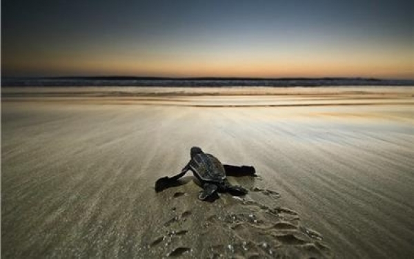 Λιμεναρχείο Κεφαλονιάς: Μήνυμα για την "Παγκόσμια Ημέρα Περιβάλλοντος"