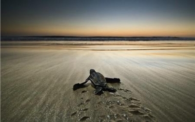 Λιμεναρχείο Κεφαλονιάς: Μήνυμα για την "Παγκόσμια Ημέρα Περιβάλλοντος"