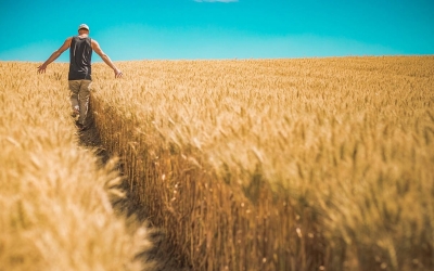 Ε.Α.Σ.: Αγροτικές Επιδοτήσεις Ο.Σ.Δ.Ε. 2019