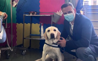 Το «Μεταξά» υποδέχθηκε τον πρώτο σταθερό σκύλο θεραπείας: Ο Ντύλαν ανέλαβε καθήκοντα στο πλευρό ογκολογικών ασθενών